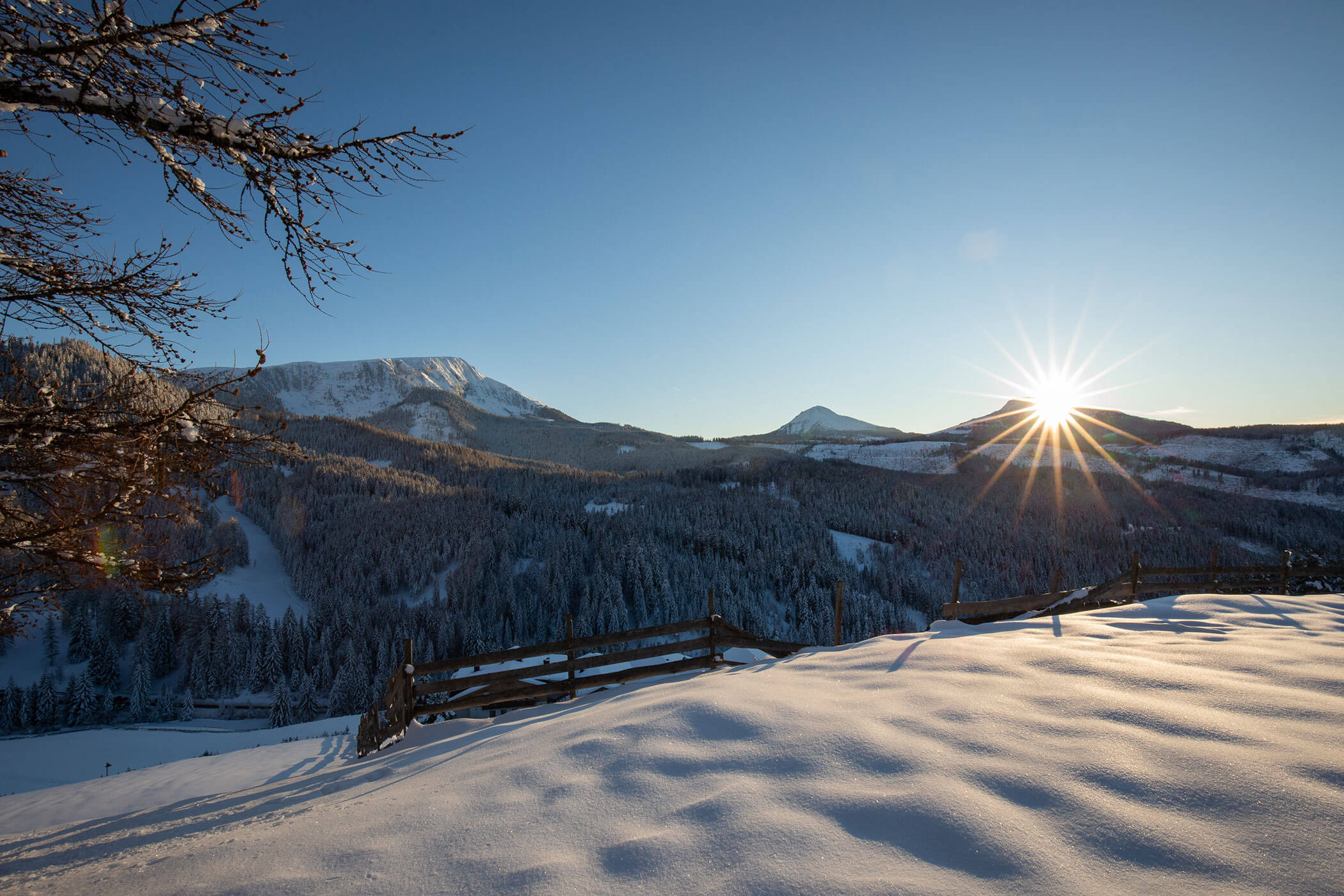 Die Sonne geht über schneebedeckten Bergen und Kiefernwäldern auf. - Hotel DAS ROYAL